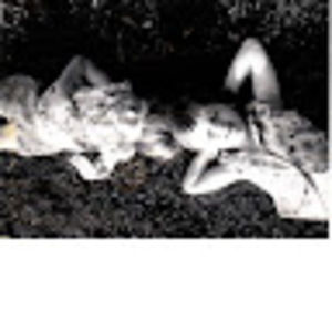 Meet your Posher, Peachy poo